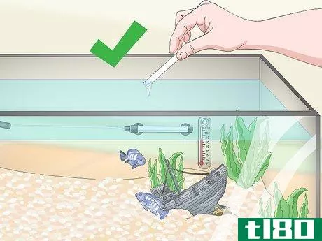 Image titled Build a Freshwater Predator Fish Aquarium Step 20