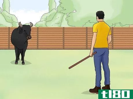如何躲牛(avoid or escape a bull)