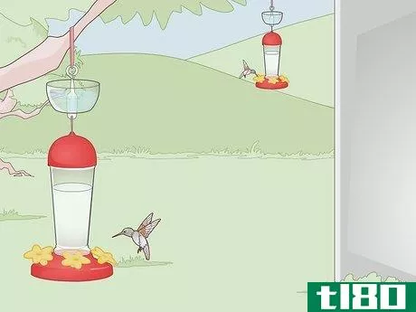 Image titled Attract Hummingbirds to a Feeder Step 4