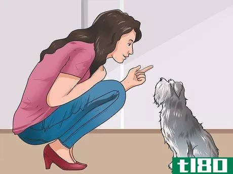 Image titled Build Trust with an Abused Dog Step 12