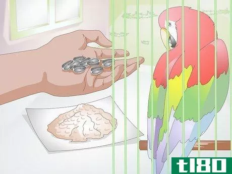 Image titled Choose Treats for Pet Birds Step 3