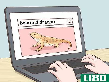 Image titled Care for Bearded Dragons Step 1