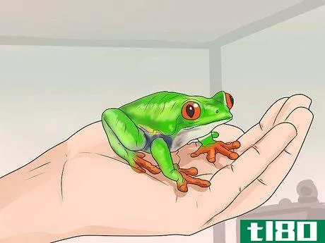 Image titled Care for Tree Frogs Step 11