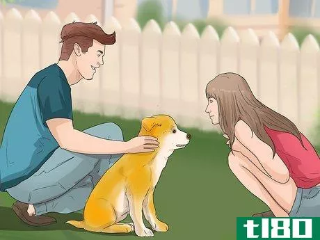Image titled Care for an Akita Inu Dog Step 13