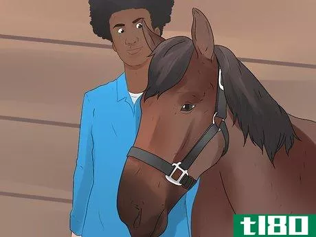Image titled Be Safe Around Horses Step 11