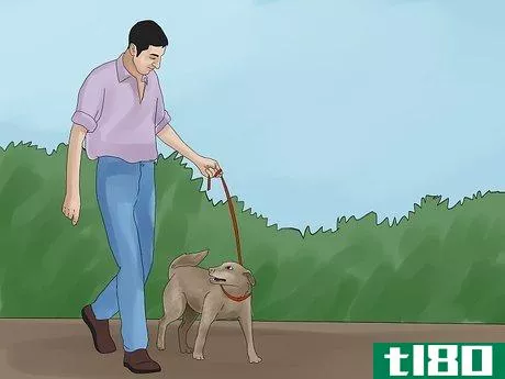 Image titled Avoid Losing Your Dog Step 8