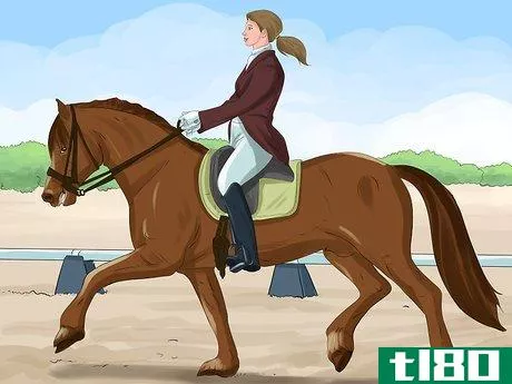Image titled Canter on a Horse for the First Time Step 2