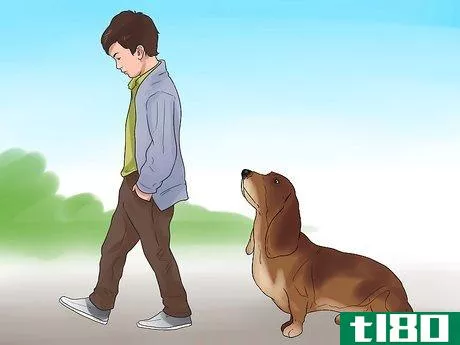 Image titled Be a Good Dog Owner Step 19