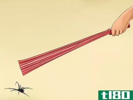Image titled Avoid Getting Bitten by a Black Widow Step 13