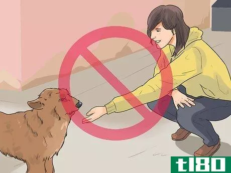 Image titled Catch a Stray Dog Step 2