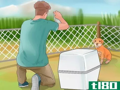 Image titled Catch a Dog Step 4