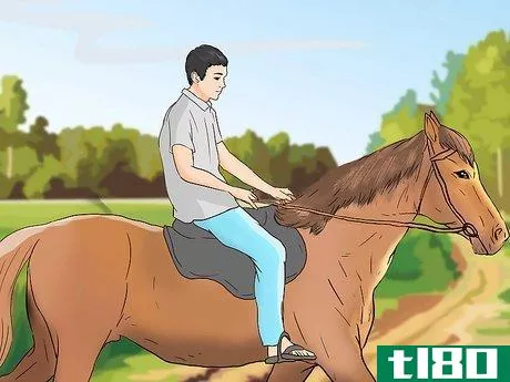 Image titled Buy a Trail Horse Step 13