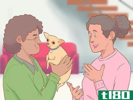 Image titled Be a Responsible Pet Parent Step 20