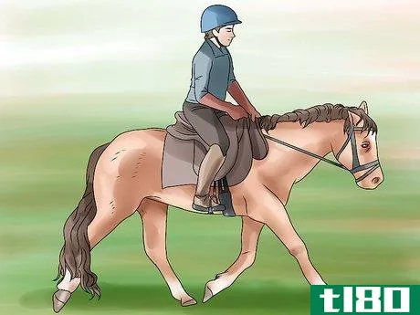 Image titled Canter With Your Horse Step 3