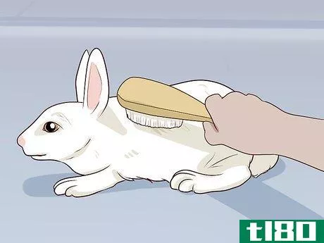 Image titled Carry a Rabbit Step 16