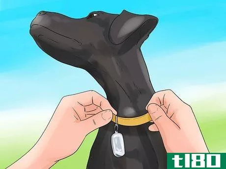 Image titled Be a Good Dog Owner Step 4
