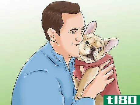 Image titled Socialize Your Pet for The Holidays Step 1