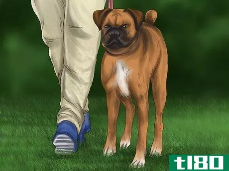 Image titled Avoid Poisoning Your Dog with Lawn Chemicals Step 9