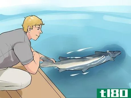 Image titled Catch a Muskie Step 15
