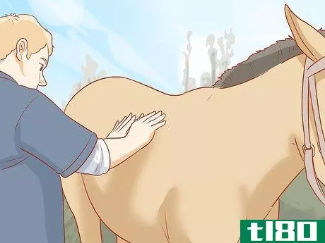 Image titled Avoid Injuries While Falling Off a Horse Step 19