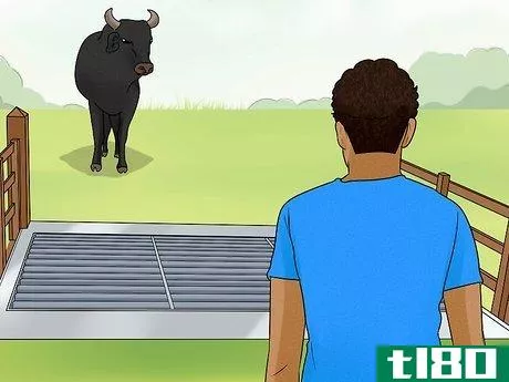 Image titled Avoid or Escape a Bull Step 7
