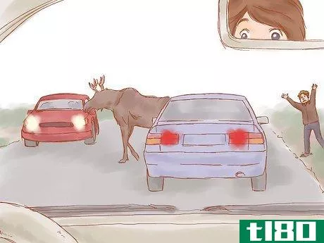Image titled Avoid a Moose or Deer Collision Step 7