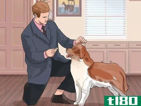 Image titled Be a Good Dog Owner Step 12