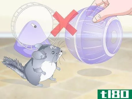 Image titled Care for Chinchillas Step 20