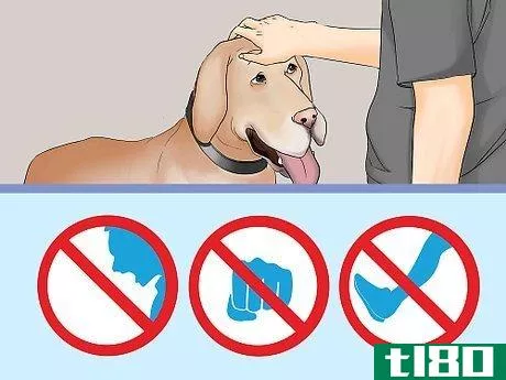 Image titled Be a Good Pet Owner Step 16
