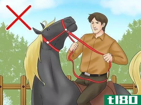 Image titled Calm Your Hot Horse Step 4