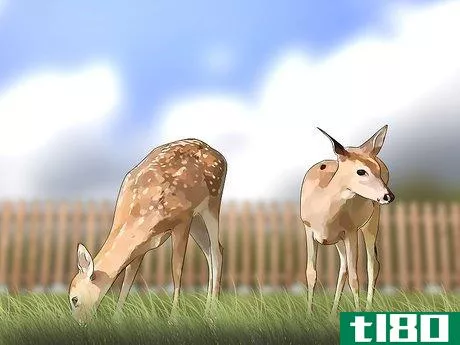Image titled Build a Deer Fence Step 1