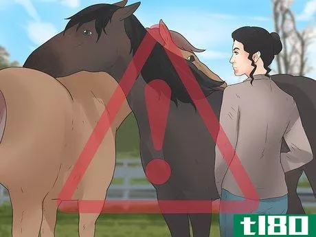 Image titled Be Safe Around Horses Step 25
