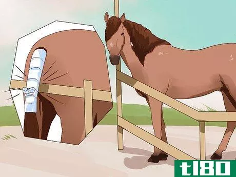 Image titled Apply a Horse Tail Bandage Step 10