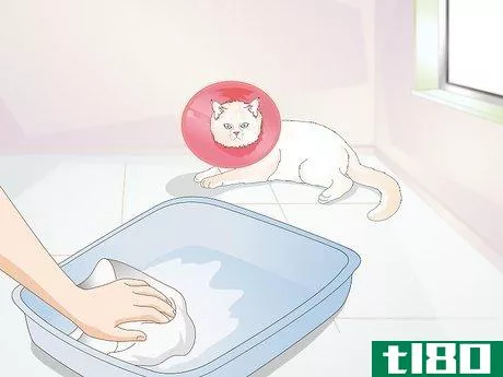 Image titled Avoid Germs when Cleaning a Litter Box Step 10