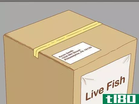 Image titled Bag and Ship Live Fish Step 11