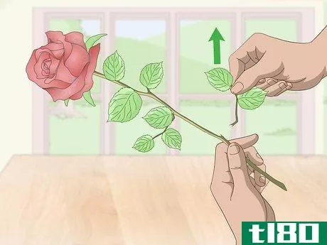 Image titled Arrange Long Stem Roses Step 3