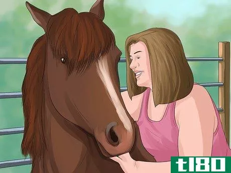 Image titled Get More Confident Around Horses Step 8