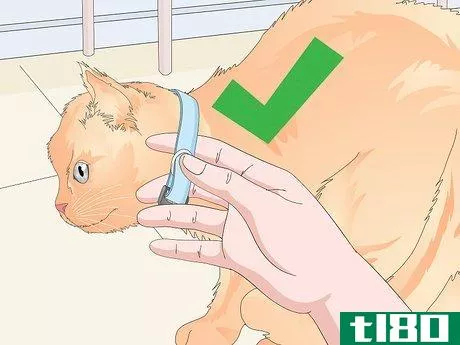 Image titled Buy a Collar for Your Cat Step 9