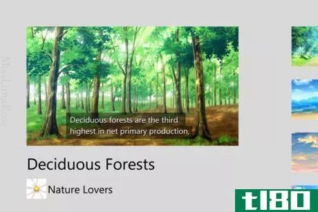 Image titled Educational Video About Forests.png