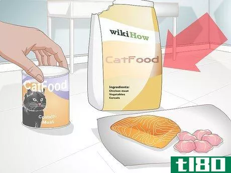 如何购买健康的猫粮(buy healthy cat food)