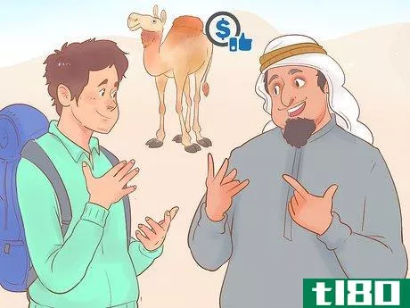 Image titled Buy a Camel Step 15