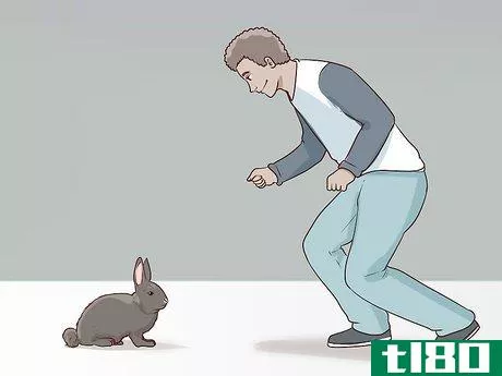 Image titled Carry a Rabbit Step 2