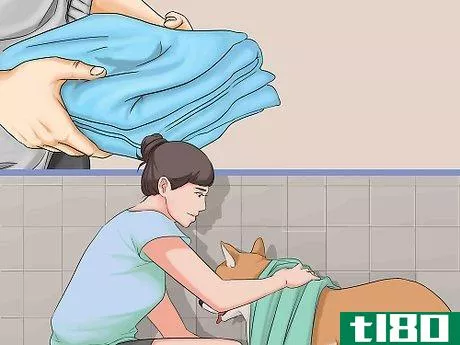 Image titled Bathe a Dog in a Shower Step 16