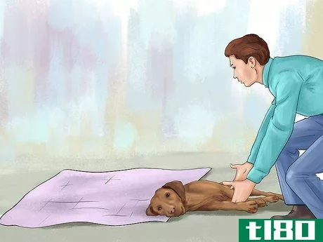 Image titled Carry an Injured Dog Step 5