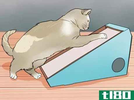 Image titled Cat Proof Your Apartment Step 14