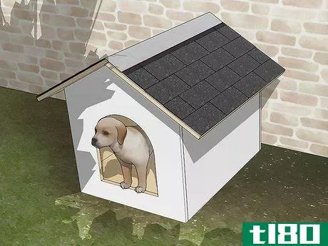 Image titled Build a Simple Dog House Step 16