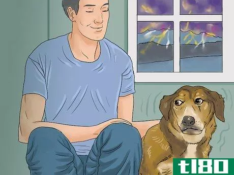 Image titled Calm a Dog During Thunderstorms Step 1