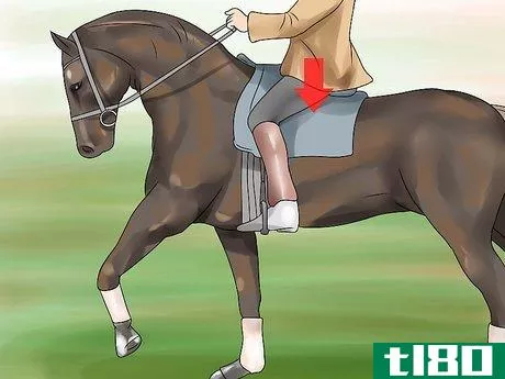 Image titled Canter With Your Horse Step 5