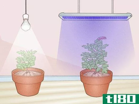 Image titled Can LED Lights Grow Plants Step 2