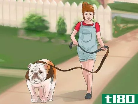 Image titled Be a Good Pet Owner (for Kids) Step 4